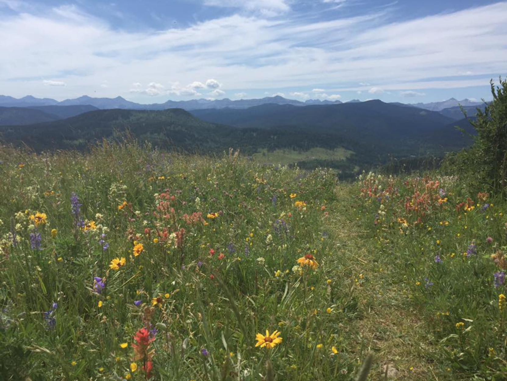 Nature Divine Chapbook